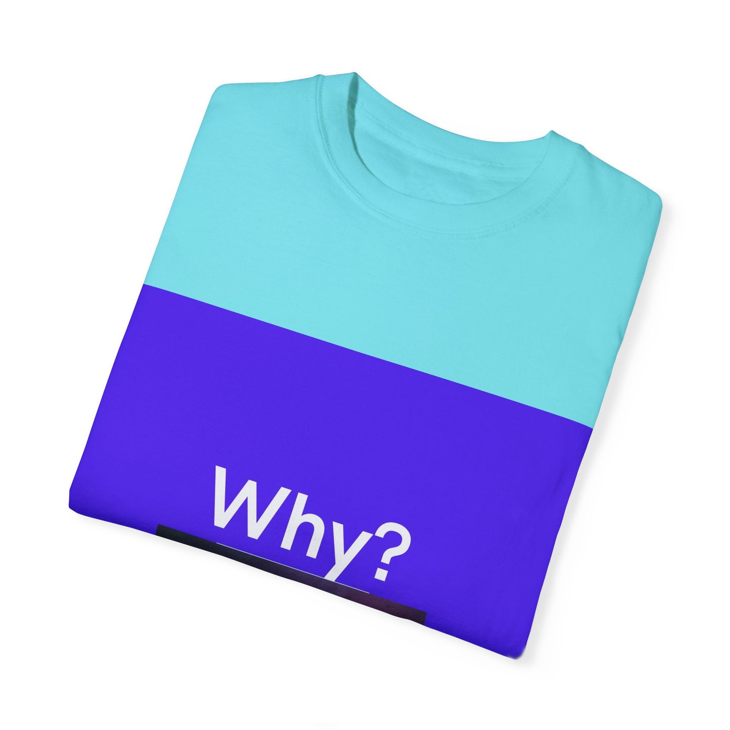 Unisex Garment-Dyed T-shirt - 'BLAME It on the Juice' Casual Tee